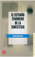 El Extrano Fenomeno de la Sinestesia