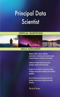 Principal Data Scientist Critical Questions Skills Assessment