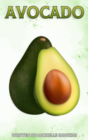 Avocado: Fun Facts on Fruits and Vegetables