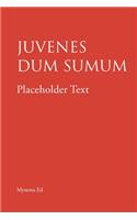 Juvenes dum sumum