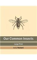 Our Common Insects: Large Print