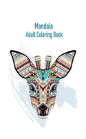 Mandala Adult Coloring Book