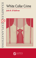 Examples & Explanations: White Collar Crime