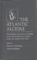 Atlantic Alcidae