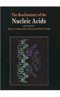 Biochemistry of the Nucleic Acids