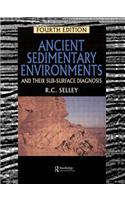 Ancient Sedimentary Environments