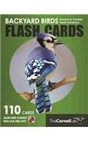 Backyard Birds Flash Cards - Eastern & Central North America