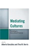 Mediating Cultures