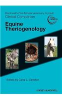 Equine Theriogenology