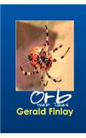 Orb Web Tales
