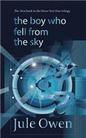 Boy Who Fell from the Sky