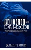 Delivered But Damaged II