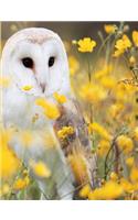 Barn Owl Notebook