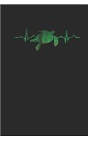 Turtle Heartbeat