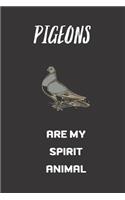 Pigeons Are my spirit animal
