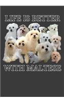 Life Is Better With Maltese