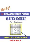 Sudoku for Beginners 60 Easy Extra Large Print Puzzles