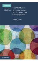 Wto and International Investment Law