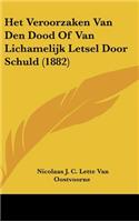 Het Veroorzaken Van Den Dood of Van Lichamelijk Letsel Door Schuld (1882)