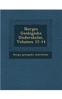 Norges Geologiske Unders Kelse, Volumes 12-14