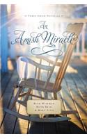 An Amish Miracle