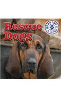 Rescue Dogs