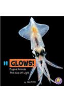 Magical Animals it Glows Magical Animals That Give off Light