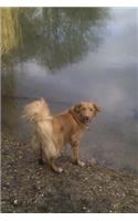 The Nova Scotia Duck Tolling Retriever Dog Journal: 150 page lined notebook/diary