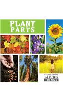 Plant Parts