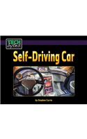 Self Drive Cars