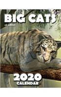 Big Cats 2020 Calendar (UK Edition)