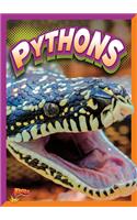 Pythons: (Slithering Snakes)