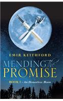 Mending the Promise