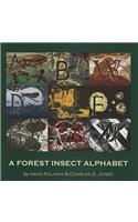 A Forest Insect Alphabet