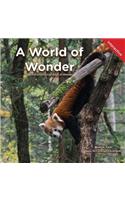 World of Wonder