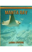 Manta Ray: Children's Book of Amazing Photos and Fun Facts about Manta Ray