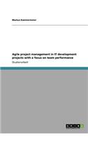 Agile project management in IT development projects with a focus on team performance