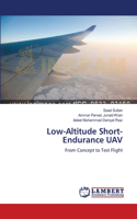 Low-Altitude Short-Endurance UAV