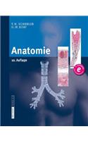 Anatomie