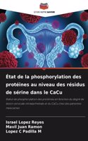 État de la phosphorylation des protéines au niveau des résidus de sérine dans le CaCu