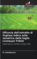 Efficacia dell'estratto di Urginea indica sulla minatrice delle foglie Liriomyza Trifolii