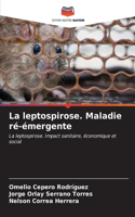 leptospirose. Maladie ré-émergente