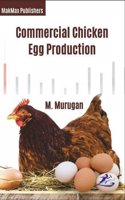 Commercial Chicken Egg Production