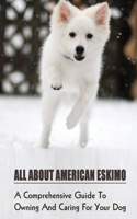 All About American Eskimo