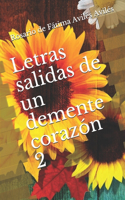 Letras salidas de un demente corazón 2