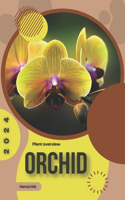 Orchid