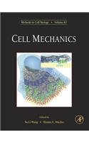 Cell Mechanics