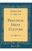 Practical Fruit Culture (Classic Reprint)