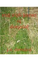 Real Irish Fairies of Donegal