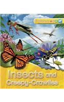 Explorers: Insects and Creepy-Crawlies